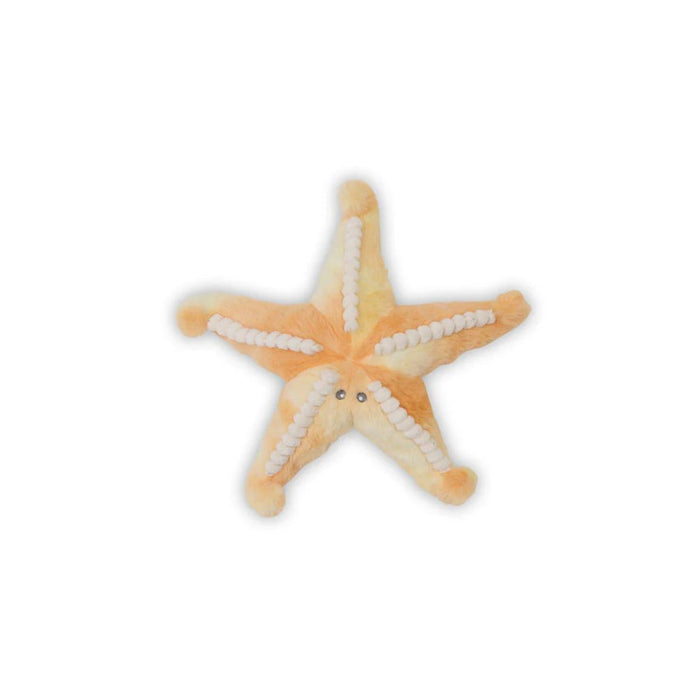 Bubble Sunny the Starfish
