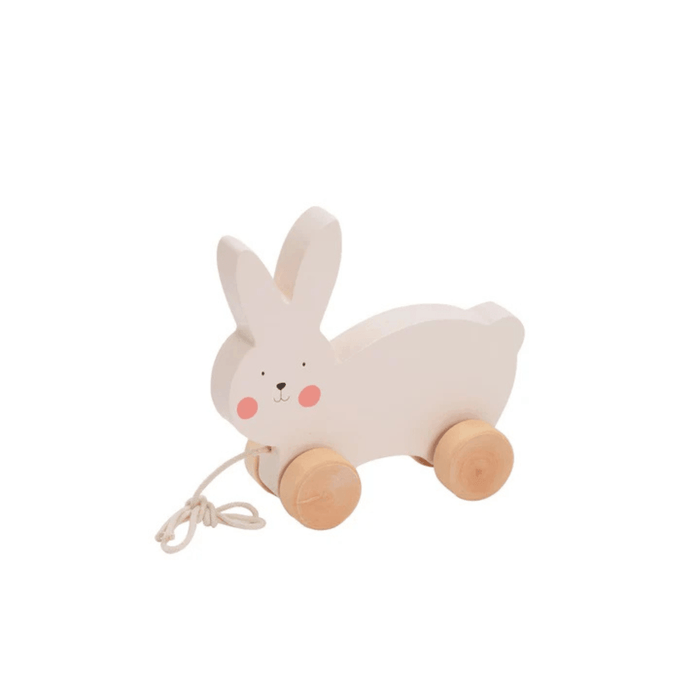 Bubble Wooden Rabbit Pull Along Toy