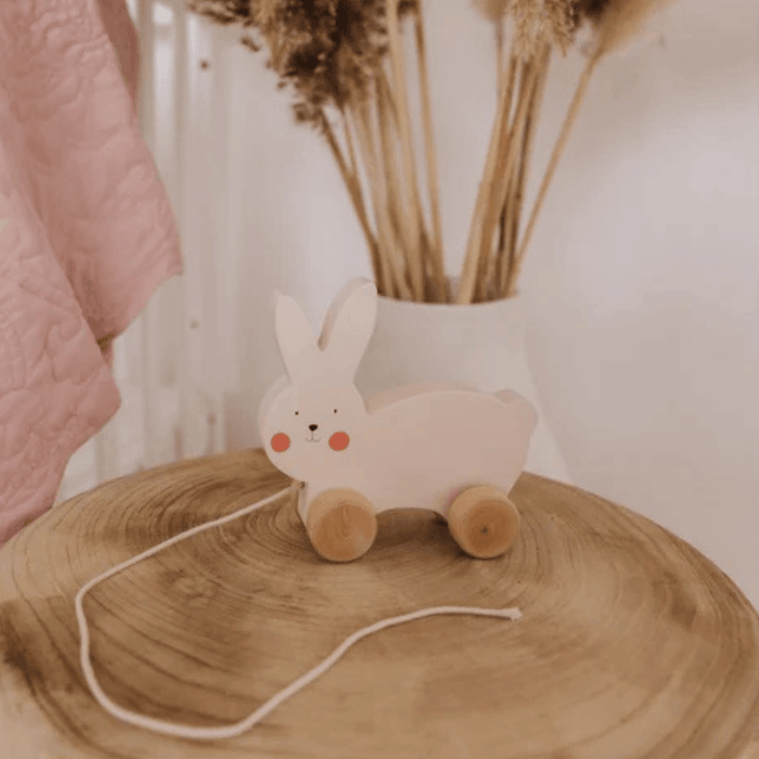 Bubble Wooden Rabbit Pull Along Toy