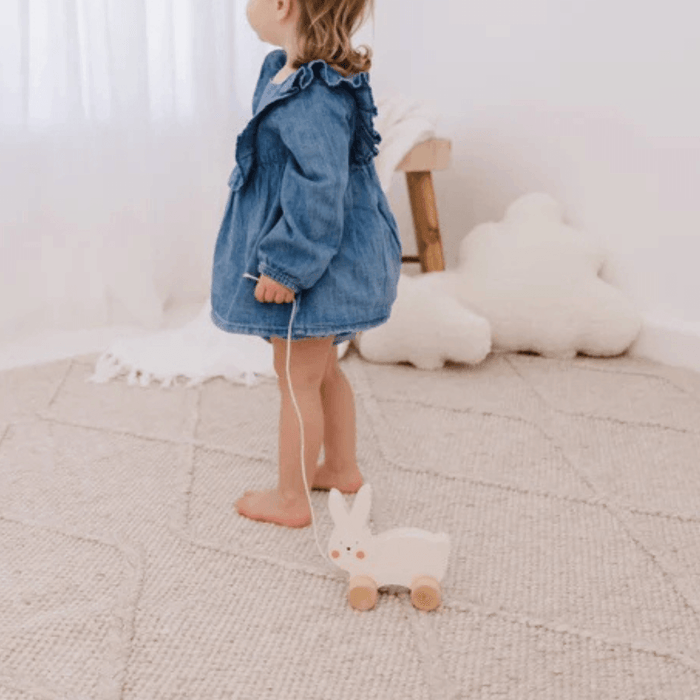 Bubble Wooden Rabbit Pull Along Toy