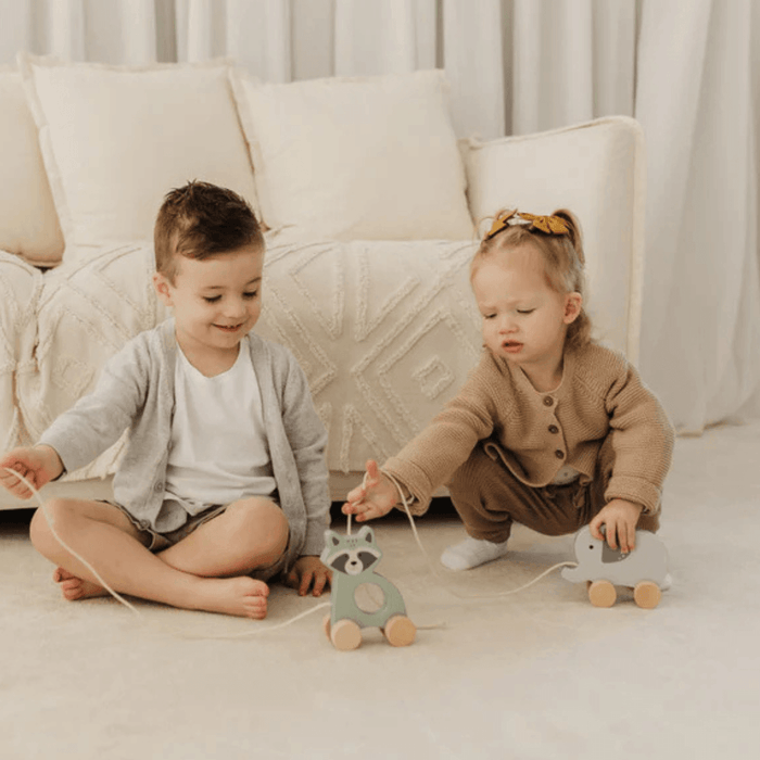 Bubble Wooden Elephant Pull Along Toy