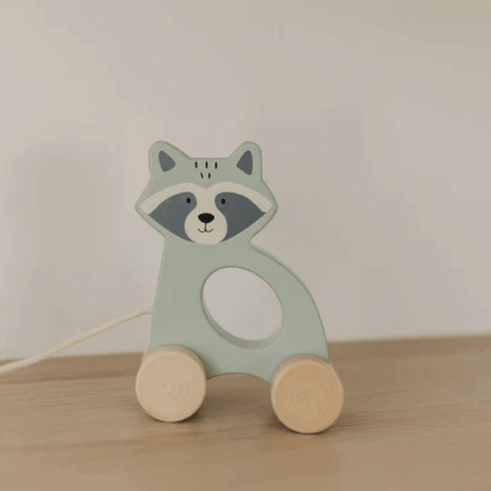 Bubble Wooden Raccoon Pull Along Toy