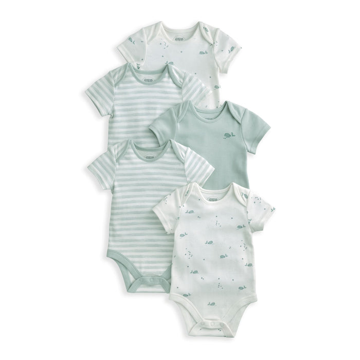 Mamas and Papas Whale Short Sleeve Bodysuits - 5 Pack