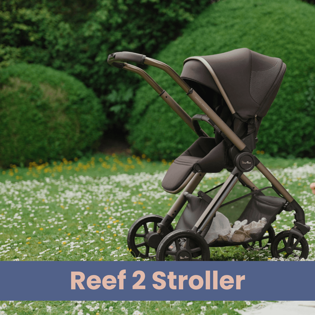 Shop Silver Cross Reef 2