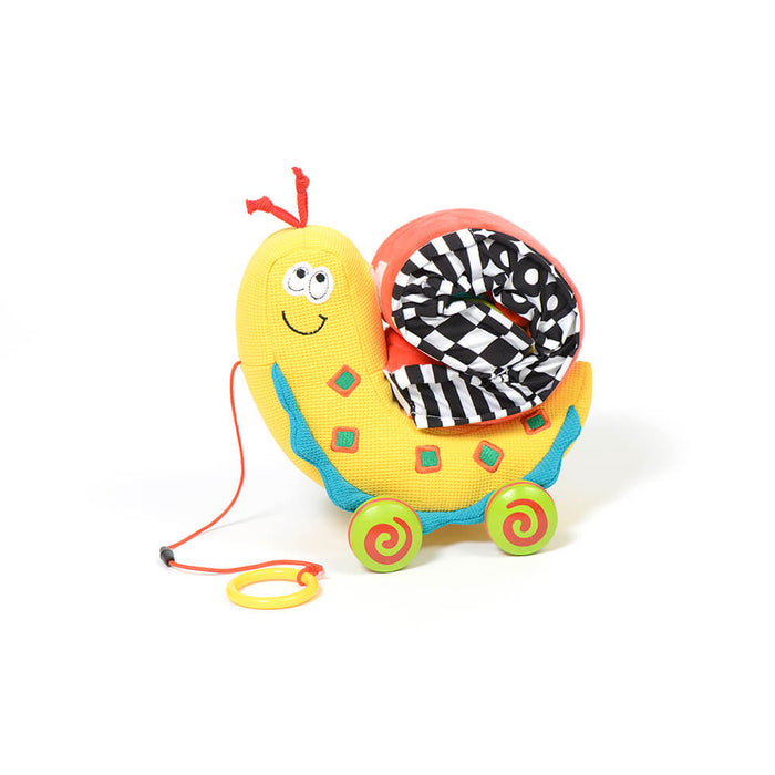 Dolce Toys Pull Along Colour Snail